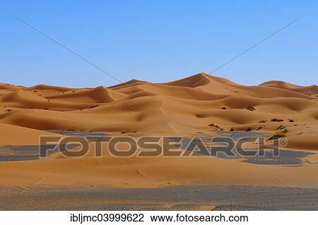 "Sand dunes, Erg Chebbi, Merzouga, Sahara Desert, Morocco, Africa" View Large Photo Image Stock Image - "Sand dunes, Erg Chebbi, Merzouga, Sahara Desert, Morocco, Africa". Fotosearch