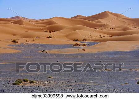 "Sand dunes, Erg Chebbi, Merzouga, Sahara Desert, Morocco, Africa" View Large Photo Image Stock Photo - "Sand dunes, Erg Chebbi, Merzouga, Sahara Desert, Morocco, Africa". Fotosearch