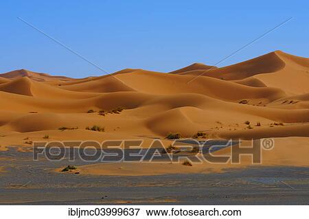 Stock Photo - "Sand dunes, Erg Chebbi, Merzouga, Sahara Desert, Morocco, Africa". Fotosearch