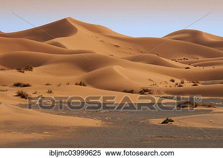 "Sand dunes, Erg Chebbi, Merzouga, Sahara Desert, Morocco, Africa" View Large Photo Image Stock Photography - "Sand dunes, Erg Chebbi, Merzouga, Sahara Desert, Morocco, Africa". Fotosearch
