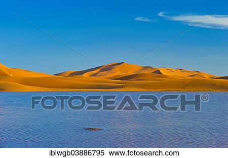 "Sand dunes of Erg Chebbi in the evening light, temporary lake that formed after heavy rains at the front, Sahara, Southern Morocco, Morocco, Africa" View Large Photo Image Stock Photography - "Sand dunes of Erg Chebbi in the evening light, temporary lake that formed after heavy rains at the front, Sahara, Southern Morocco, Morocco, Africa". Fotosearch