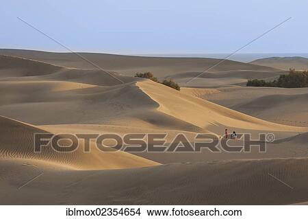 Picture - "Sand dunes of Maspalomas, Gran Canaria, Canary Islands, Spain, Europe". Fotosearch