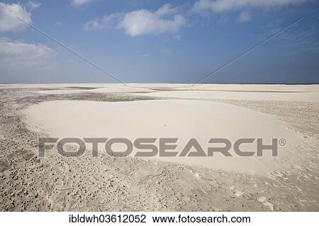 "Sand dunes on Nordstrand beach, Lower Saxon Wadden Sea National Park, Borkum, East Frisian Islands, East Frisia, Lower Saxony, Germany, Europe" View Large Photo Image Stock Image - "Sand dunes on Nordstrand beach, Lower Saxon Wadden Sea National Park, Borkum, East Frisian Islands, East Frisia, Lower Saxony, Germany, Europe". Fotosearch