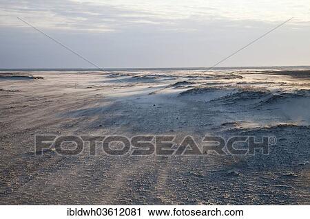 "Sand dunes on Nordstrand beach, Lower Saxon Wadden Sea National Park, Borkum, East Frisian Islands, East Frisia, Lower Saxony, Germany, Europe" View Large Photo Image Stock Image - "Sand dunes on Nordstrand beach, Lower Saxon Wadden Sea National Park, Borkum, East Frisian Islands, East Frisia, Lower Saxony, Germany, Europe". Fotosearch