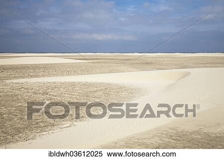 "Sand dunes on Nordstrand beach, Lower Saxon Wadden Sea National Park, Borkum, East Frisian Islands, East Frisia, Lower Saxony, Germany, Europe" View Large Photo Image Stock Photography - "Sand dunes on Nordstrand beach, Lower Saxon Wadden Sea National Park, Borkum, East Frisian Islands, East Frisia, Lower Saxony, Germany, Europe". Fotosearch