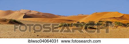 "Sand dunes, panorama, Sossusvlei, Namib Desert, Namib-Naukluft National Park, Namibia, Africa" View Large Photo Image Stock Image - "Sand dunes, panorama, Sossusvlei, Namib Desert, Namib-Naukluft National Park, Namibia, Africa". Fotosearch