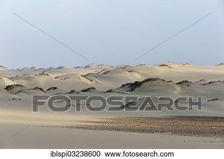 "Sand dunes, Skeleton Coast National Park, Kunene Region, Namibia, Africa" View Large Photo Image Stock Image - "Sand dunes, Skeleton Coast National Park, Kunene Region, Namibia, Africa". Fotosearch