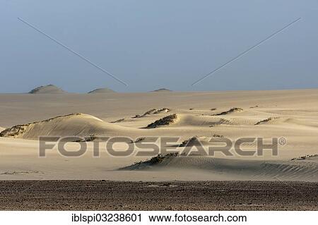 "Sand dunes, Skeleton Coast National Park, Kunene Region, Namibia, Africa" View Large Photo Image Stock Image - "Sand dunes, Skeleton Coast National Park, Kunene Region, Namibia, Africa". Fotosearch