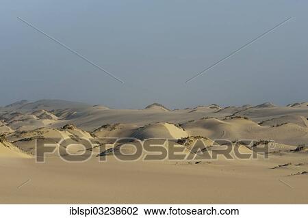 "Sand dunes, Skeleton Coast National Park, Kunene Region, Namibia, Africa" View Large Photo Image Stock Image - "Sand dunes, Skeleton Coast National Park, Kunene Region, Namibia, Africa". Fotosearch