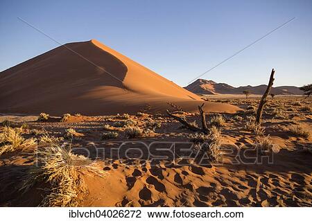 "Sand dunes, Sossusvlei, Namib Desert, Namibia, Africa" View Large Photo Image Stock Image - "Sand dunes, Sossusvlei, Namib Desert, Namibia, Africa". Fotosearch