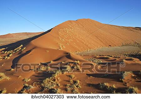"Sand dunes, Sossusvlei, Namib Desert, Namibia, Africa" View Large Photo Image Stock Image - "Sand dunes, Sossusvlei, Namib Desert, Namibia, Africa". Fotosearch