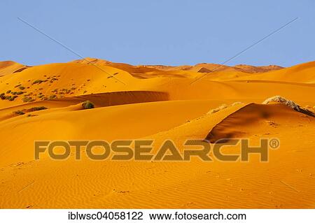 "Sand dunes, Sossusvlei, Namib Desert, Namib-Naukluft National Park, Namibia, Africa" View Large Photo Image Stock Image - "Sand dunes, Sossusvlei, Namib Desert, Namib-Naukluft National Park, Namibia, Africa". Fotosearch