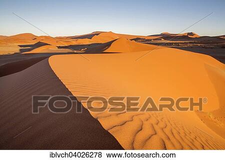 "Sand dunes, Sossusvlei, Namib Desert, Namibia, Africa" View Large Photo Image Stock Photo - "Sand dunes, Sossusvlei, Namib Desert, Namibia, Africa". Fotosearch