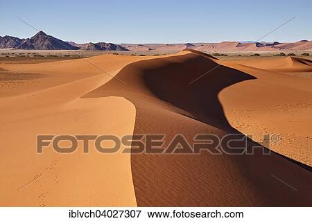 "Sand dunes, Sossusvlei, Namib Desert, Namibia, Africa" View Large Photo Image Stock Photo - "Sand dunes, Sossusvlei, Namib Desert, Namibia, Africa". Fotosearch