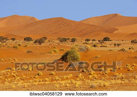 Stock Photo - "Sand dunes, Sossusvlei, Namib Desert, Namib-Naukluft National Park, Namibia, Africa". Fotosearch