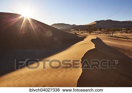 "Sand dunes, Sossusvlei, Namib Desert, Namibia, Africa" View Large Photo Image Stock Photograph - "Sand dunes, Sossusvlei, Namib Desert, Namibia, Africa". Fotosearch