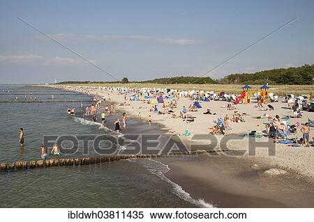"Sandy beach and coast, Graal-Muritz, Baltic Sea spa resort, Mecklenburg-Western Pomerania, Germany, Europe" View Large Photo Image Stock Photography - "Sandy beach and coast, Graal-Muritz, Baltic Sea spa resort, Mecklenburg-Western Pomerania, Germany, Europe". Fotosearch