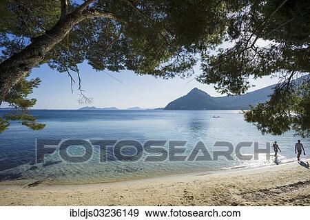 "Sandy beach and pine trees, Cala Formentor, Pollenca, Serra de Tramuntana, Majorca, Balearic Islands, Spain, Europe" View Large Photo Image Stock Photo - "Sandy beach and pine trees, Cala Formentor, Pollenca, Serra de Tramuntana, Majorca, Balearic Islands, Spain, Europe". Fotosearch