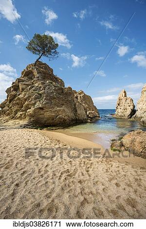 "Sandy beach and rocks, Tossa de Mar, Girona province, Costa Brava, Spain, Europe" View Large Photo Image Stock Image - "Sandy beach and rocks, Tossa de Mar, Girona province, Costa Brava, Spain, Europe". Fotosearch