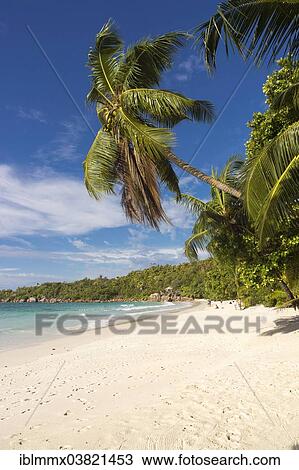 "Sandy beach, Anse Lazio, Baie Chevalier, Praslin, Seychelles, Africa" View Large Photo Image Stock Image - "Sandy beach, Anse Lazio, Baie Chevalier, Praslin, Seychelles, Africa". Fotosearch