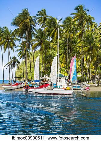 "Sandy beach beach with water sports facilities in Marigot Bay, Castries region, Saint Lucia, Windward Islands, Lesser Antilles, North America" View Large Photo Image Stock Image - "Sandy beach beach with water sports facilities in Marigot Bay, Castries region, Saint Lucia, Windward Islands, Lesser Antilles, North America". Fotosearch
