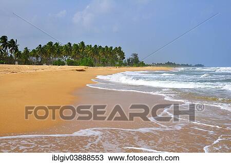 "Sandy beach of Nilaveli, Trincomalee, Eastern Province, Sri Lanka, Asia" View Large Photo Image Stock Image - "Sandy beach of Nilaveli, Trincomalee, Eastern Province, Sri Lanka, Asia". Fotosearch