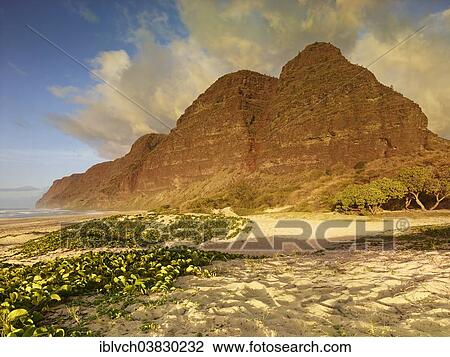 "Sandy beach on the Napali Coast, Polihale State Park, Kaua'i, Hawaii, USA" View Large Photo Image Stock Image - "Sandy beach on the Napali Coast, Polihale State Park, Kaua'i, Hawaii, USA". Fotosearch