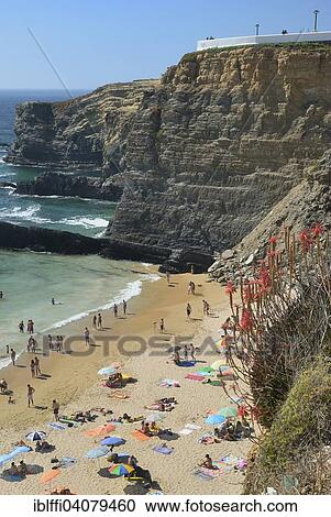 "Sandy beach Praia de Zambujeira, surrounded by rugged cliffs, Costa Alentejana, Western Algarve, Algarve, Portugal, Europe" View Large Photo Image Stock Image - "Sandy beach Praia de Zambujeira, surrounded by rugged cliffs, Costa Alentejana, Western Algarve, Algarve, Portugal, Europe". Fotosearch