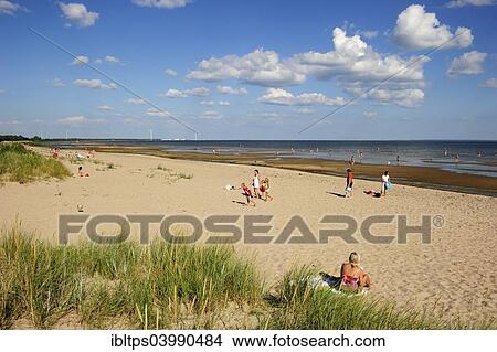 "Sandy beach, Salme, Saaremaa, Estonia, Europe" View Large Photo Image Picture - "Sandy beach, Salme, Saaremaa, Estonia, Europe". Fotosearch