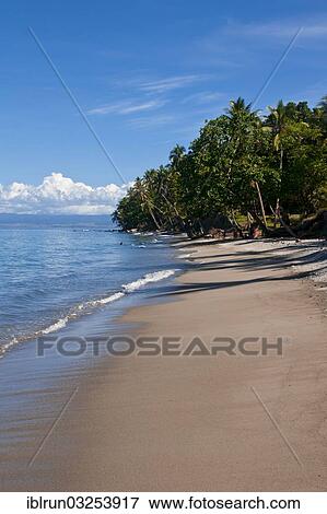 "Sandy beach, Savo Island, Central Province, Solomon Islands, Oceania" View Large Photo Image Stock Photo - "Sandy beach, Savo Island, Central Province, Solomon Islands, Oceania". Fotosearch