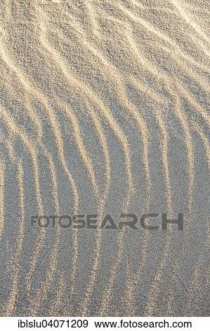 "Sandy beach, Sylt, North Frisia, Schleswig-Holstein, Germany, Europe" View Large Photo Image Stock Photo - "Sandy beach, Sylt, North Frisia, Schleswig-Holstein, Germany, Europe". Fotosearch