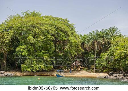"Sandy beach under tropical trees, Banana Islands, Western Area, Sierra Leone, Africa" View Large Photo Image Stock Photography - "Sandy beach under tropical trees, Banana Islands, Western Area, Sierra Leone, Africa". Fotosearch