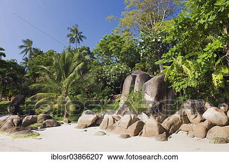 "Sandy beach with granite rocks, Lamai Beach, Ko Samui, Thailand, Asia" View Large Photo Image Stock Photo - "Sandy beach with granite rocks, Lamai Beach, Ko Samui, Thailand, Asia". Fotosearch