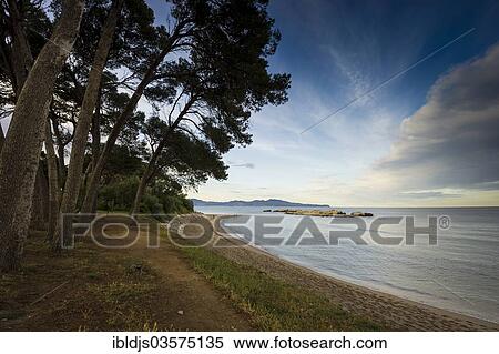 Stock Photography - "Sandy beach with pines, L'Escala, Costa Brava, Catalonia, Spain, Europe". Fotosearch