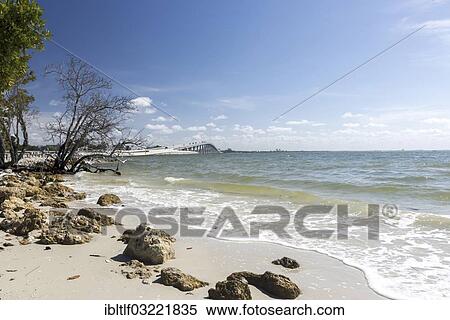 "Sanibel Causeway Bridge, Sanibel Island, Lee County, Florida, United States, North America" View Large Photo Image Stock Photography - "Sanibel Causeway Bridge, Sanibel Island, Lee County, Florida, United States, North America". Fotosearch