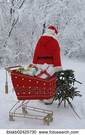 Santa Claus with a Christmas tree in a snowy forest with a shopping cart with red velvet and gifts in the foreground View Large Photo Image Stock Image - Santa Claus with a Christmas tree in a snowy forest with a shopping cart with red velvet and gifts in the foreground. Fotosearch