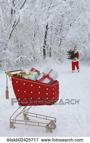 Santa Claus with a Christmas tree in a snowy forest with a shopping cart with red velvet and gifts in the foreground View Large Photo Image Stock Photo - Santa Claus with a Christmas tree in a snowy forest with a shopping cart with red velvet and gifts in the foreground. Fotosearch