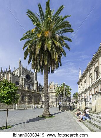 "Santa Maria de la Sede, Seville Cathedral, and Archivio de Indias, Seville, Seville province, Andalucia, Spain, Europe" View Large Photo Image Stock Photo - "Santa Maria de la Sede, Seville Cathedral, and Archivio de Indias, Seville, Seville province, Andalucia, Spain, Europe". Fotosearch