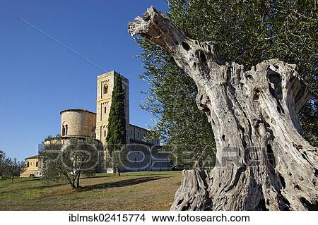 Sant'Antimo Abbey, Castelnuovo del Abate, Montalcino, Tuscany region, province of Siena, Italy, Europe View Large Photo Image Picture - Sant'Antimo Abbey, Castelnuovo del Abate, Montalcino, Tuscany region, province of Siena, Italy, Europe. Fotosearch