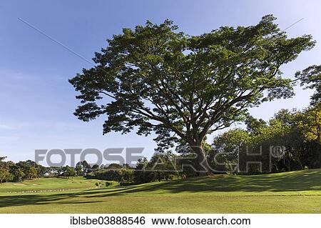 "Santiburi Golf Course, Chiang Rai, Chiang Rai Province, Northern Thailand, Thailand, Asia" View Large Photo Image Stock Photograph - "Santiburi Golf Course, Chiang Rai, Chiang Rai Province, Northern Thailand, Thailand, Asia". Fotosearch