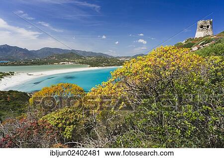 "Saracen tower, La Torre di Porto Giunco, Capo Carbonara, Sardinia, Italy, Europe" View Large Photo Image Stock Image - "Saracen tower, La Torre di Porto Giunco, Capo Carbonara, Sardinia, Italy, Europe". Fotosearch