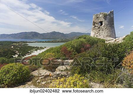 "Saracen tower, La Torre di Porto Giunco, Capo Carbonara, Sardinia, Italy, Europe" View Large Photo Image Stock Image - "Saracen tower, La Torre di Porto Giunco, Capo Carbonara, Sardinia, Italy, Europe". Fotosearch