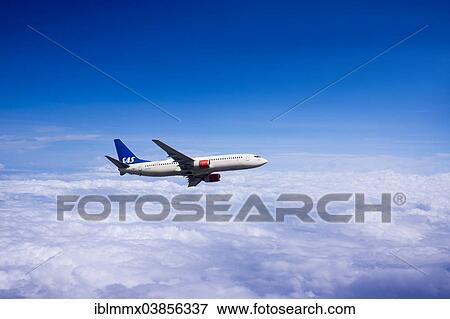 "SAS Scandinavian Airlines, Boeing 737-883, in flight" View Large Photo Image Stock Photo - "SAS Scandinavian Airlines, Boeing 737-883, in flight". Fotosearch