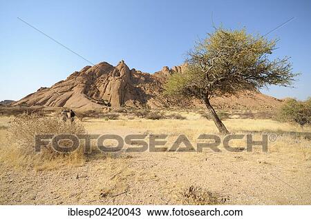 Savannah landscape with granite rocks of the Pontok Mountains, Spitzkoppe, Grosse Spitzkuppe Nature Reserve, Namibia, Africa View Large Photo Image Stock Image - Savannah landscape with granite rocks of the Pontok Mountains, Spitzkoppe, Grosse Spitzkuppe Nature Reserve, Namibia, Africa. Fotosearch