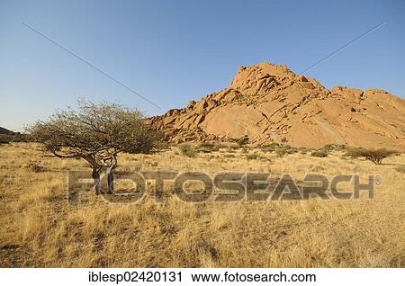 Savannah landscape with granite rocks of Pontok Mountains, Spitzkoppe, Grosse Spitzkuppe Nature Reserve, Namibia, Africa View Large Photo Image Stock Image - Savannah landscape with granite rocks of Pontok Mountains, Spitzkoppe, Grosse Spitzkuppe Nature Reserve, Namibia, Africa. Fotosearch
