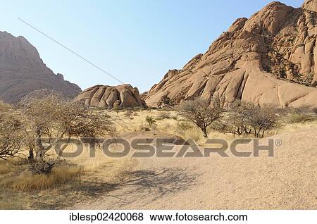 Savannah landscape with granite rocks, Spitzkoppe Mountain, Pontok Mountains, Spitzkoppe, Grosse Spitzkuppe Nature Reserve, Namibia, Africa View Large Photo Image Stock Photo - Savannah landscape with granite rocks, Spitzkoppe Mountain, Pontok Mountains, Spitzkoppe, Grosse Spitzkuppe Nature Reserve, Namibia, Africa. Fotosearch