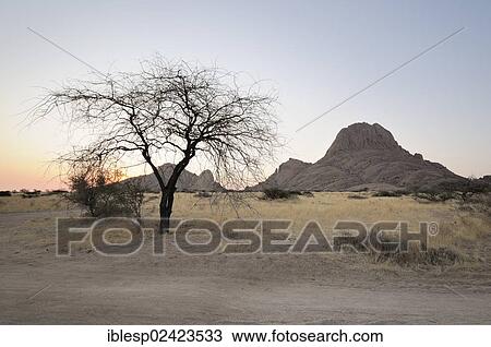 Savannah landscape with rock formations, Great Spitzkoppe and Pontok Mountains, Great Spitzkoppe Nature Reserve, Namibia, Africa View Large Photo Image Stock Image - Savannah landscape with rock formations, Great Spitzkoppe and Pontok Mountains, Great Spitzkoppe Nature Reserve, Namibia, Africa. Fotosearch