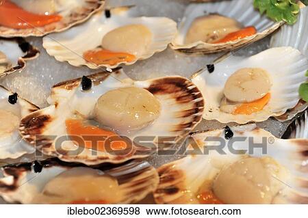 "Scallops on sale at the fish market, Campo de la Pescaria, Rialto Market, San Polo district, Venice, Veneto, Italy, Europe" View Large Photo Image Stock Photo - "Scallops on sale at the fish market, Campo de la Pescaria, Rialto Market, San Polo district, Venice, Veneto, Italy, Europe". Fotosearch