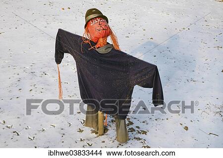 "Scarecrow looking up, in the snow, Billwerder, Hamburg, Hamburg, Germany, Europe" View Large Photo Image Picture - "Scarecrow looking up, in the snow, Billwerder, Hamburg, Hamburg, Germany, Europe". Fotosearch