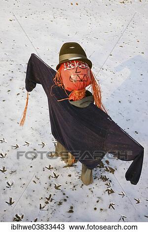 "Scarecrow looking up, in the snow, Billwerder, Hamburg, Hamburg, Germany, Europe" View Large Photo Image Stock Image - "Scarecrow looking up, in the snow, Billwerder, Hamburg, Hamburg, Germany, Europe". Fotosearch